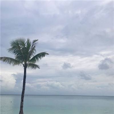 半岛棋牌游戏手机app下载